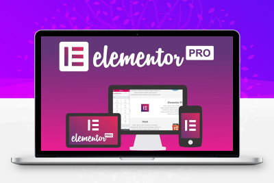 Elementor Pro编辑器官方正版Key授权在线更新（一年）-齐趣软件——小程序网站APP开发