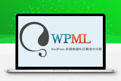 WPML多语言翻译WP插件官方正版授权独立Key（一年）-齐趣软件——小程序网站APP开发