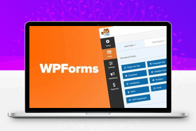 WPForms Pro网站表单询盘插件官方正版在线授权更新兼容Elementor-齐趣软件——小程序网站APP开发