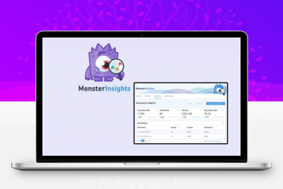 MonsterInsights Pro官方正版Key授权自动升级 网站数据跟踪分析-齐趣软件——小程序网站APP开发