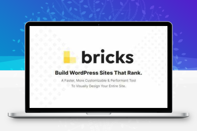 Bricks Theme BricksBuilder WordPress主题正版Key授权在线更新-齐趣软件——小程序网站APP开发