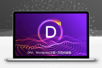 Divi官方正版授权Key激活在线更新主题与编辑器插件-齐趣软件——小程序网站APP开发
