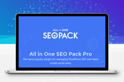 All in One SEO Pro官方正版Key授权（一年）-齐趣软件——小程序网站APP开发