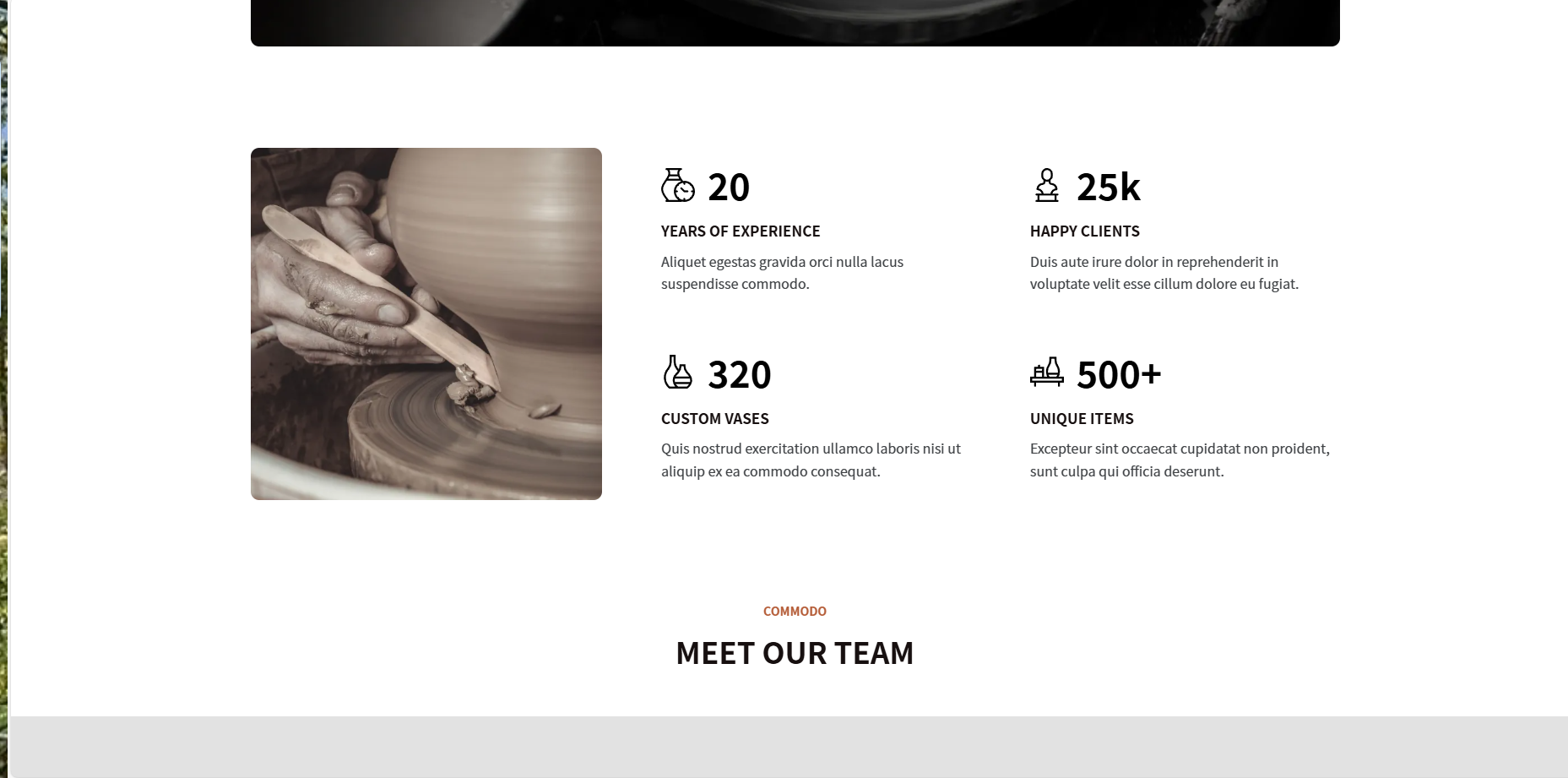 陶瓷艺术品（2c）-齐趣软件——小程序网站APP开发