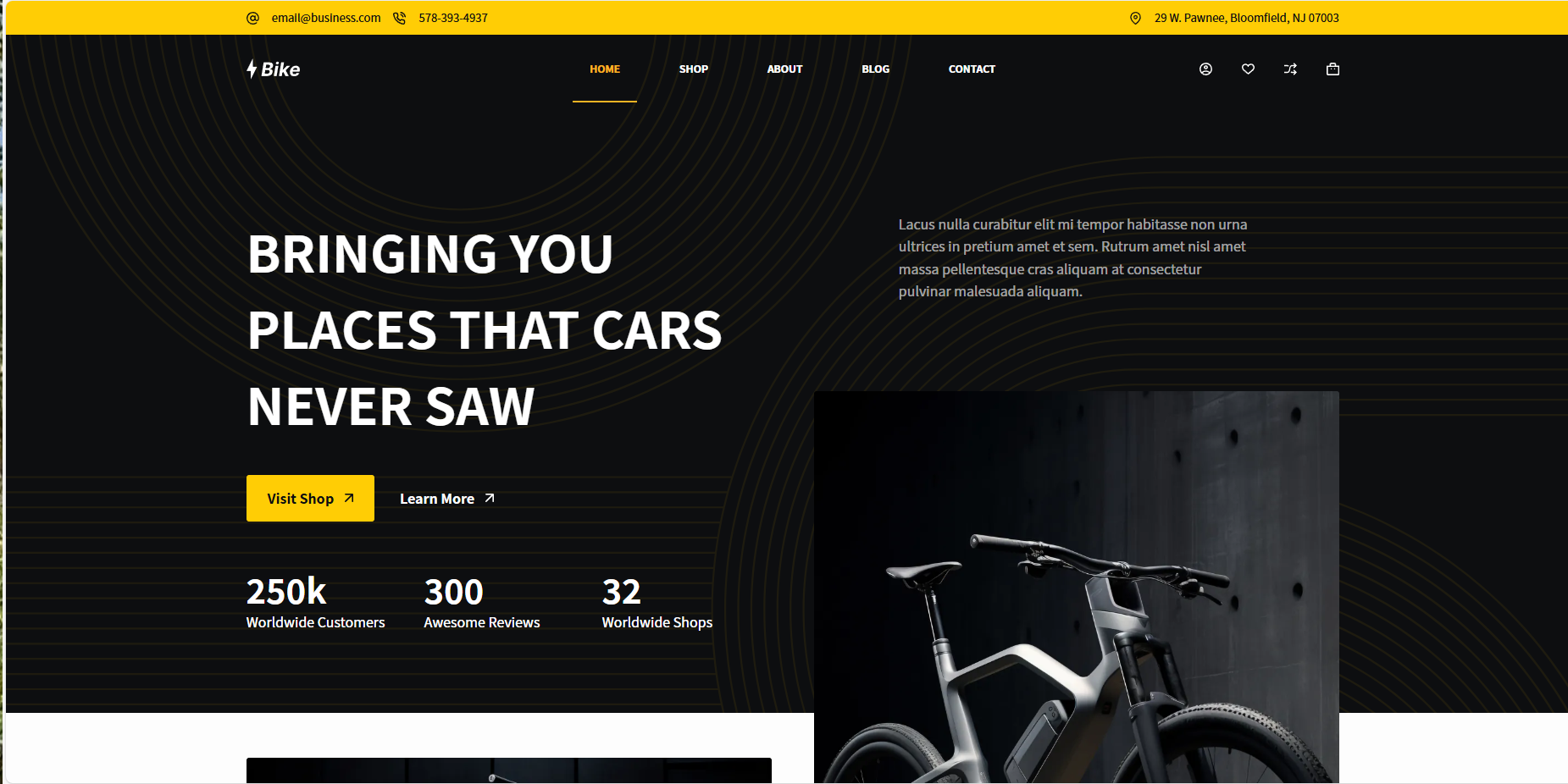 自行车（2c）-齐趣软件——小程序网站APP开发